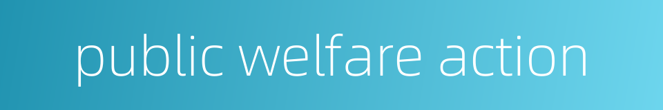 public welfare action的同义词