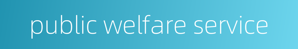 public welfare service的同义词