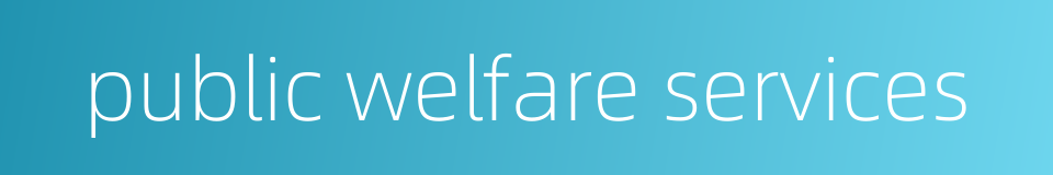 public welfare services的同义词