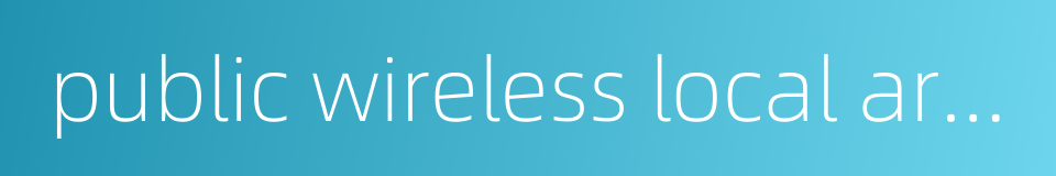 public wireless local area network的同义词