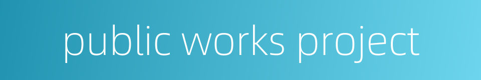 public works project的同义词