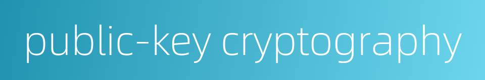 public-key cryptography的同义词