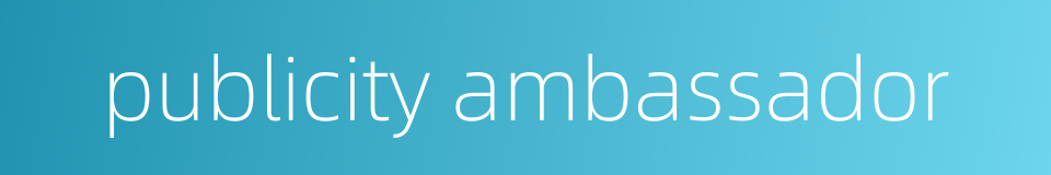 publicity ambassador的同义词