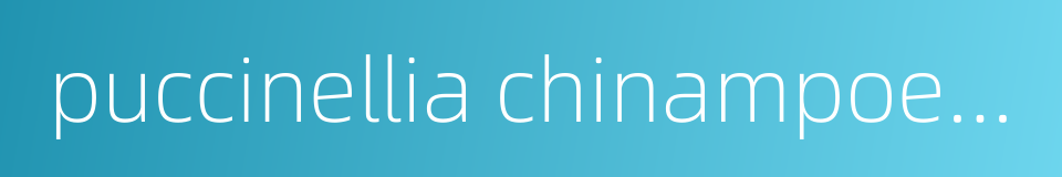 puccinellia chinampoensis的同义词