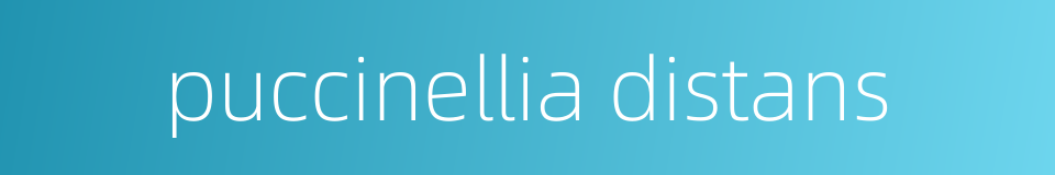 puccinellia distans的同义词