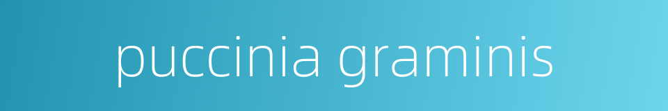 puccinia graminis的同义词