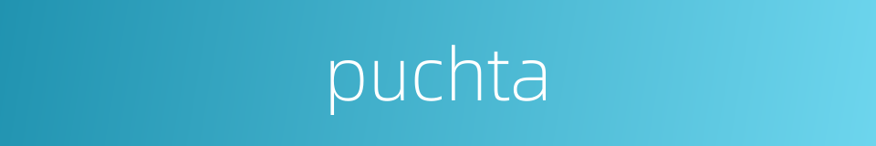 puchta的同义词