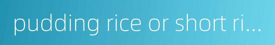 pudding rice or short rice的同义词