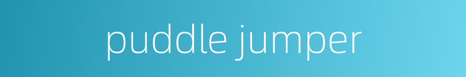 puddle jumper的同义词