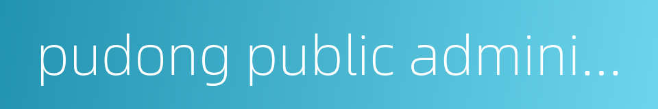 pudong public administration center的同义词