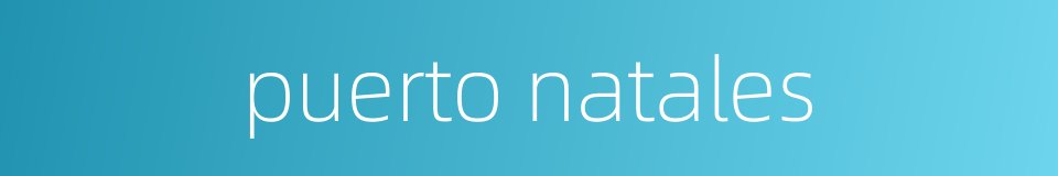 puerto natales的同义词