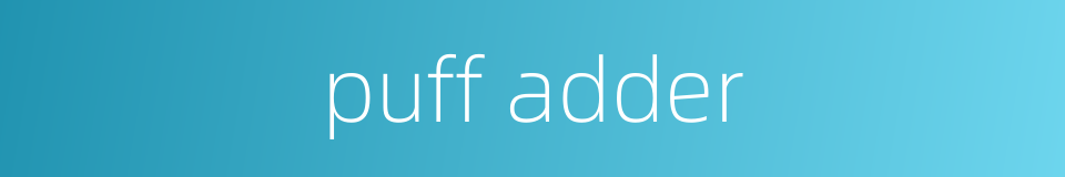 puff adder的同义词