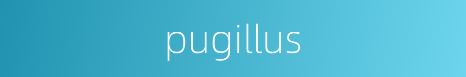 pugillus的同义词