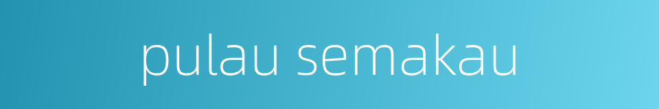 pulau semakau的同义词