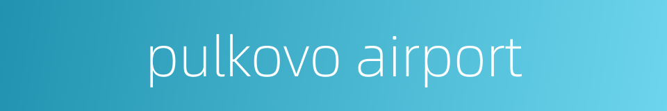 pulkovo airport的同义词