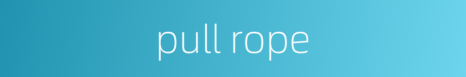 pull rope的同义词