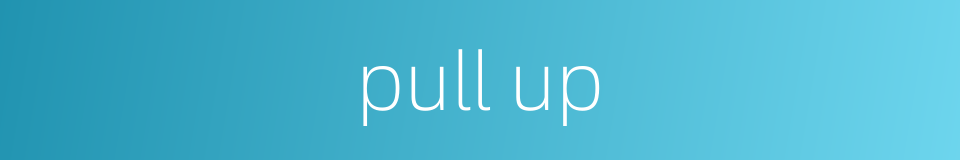 pull up的同义词