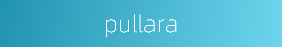 pullara的同义词