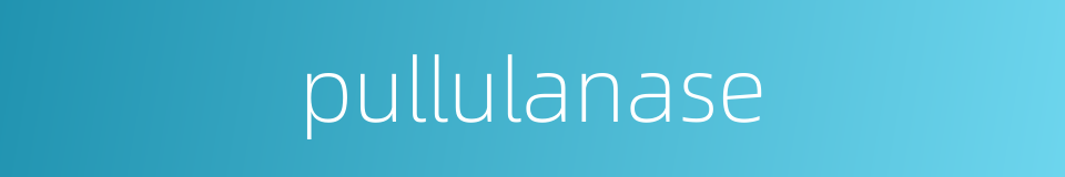 pullulanase的同义词