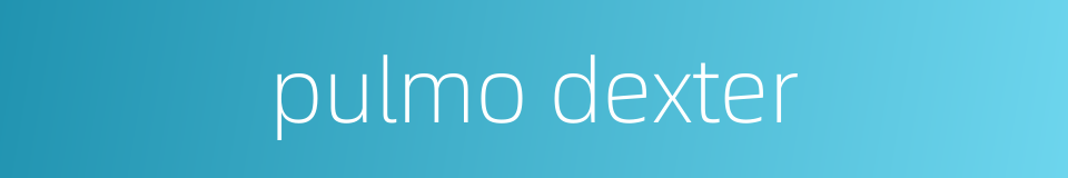 pulmo dexter的同义词