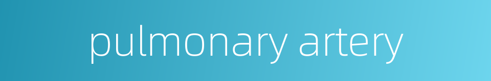 pulmonary artery的同义词