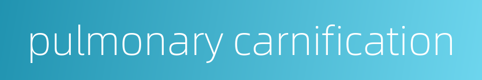 pulmonary carnification的同义词