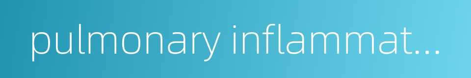 pulmonary inflammatory pseudotumor的同义词