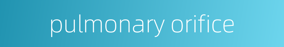 pulmonary orifice的同义词