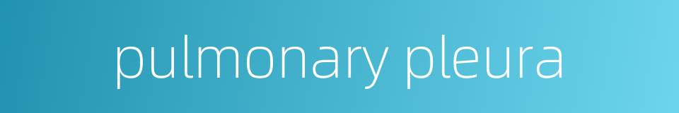 pulmonary pleura的同义词