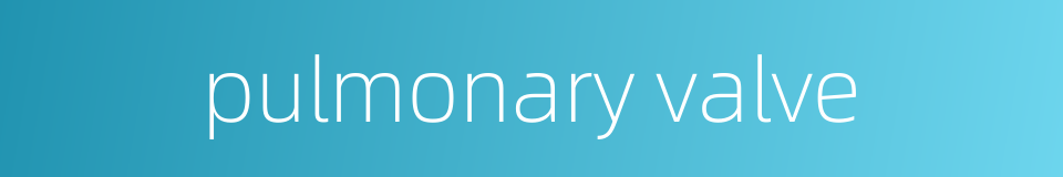 pulmonary valve的同义词