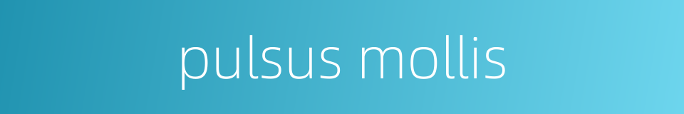 pulsus mollis的同义词