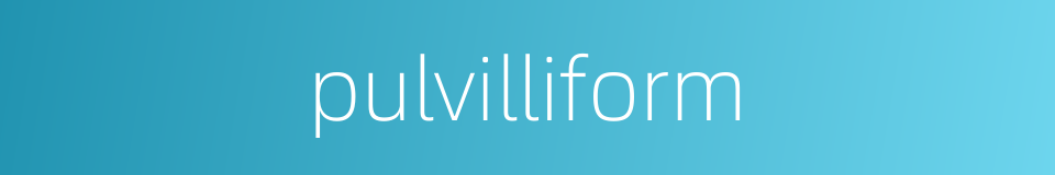 pulvilliform的同义词