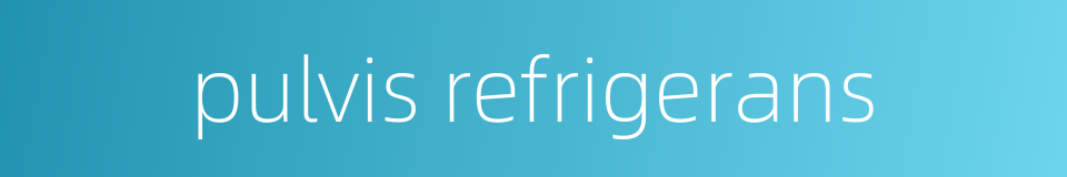 pulvis refrigerans的同义词