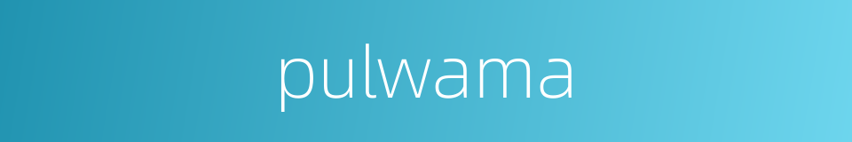 pulwama的同义词