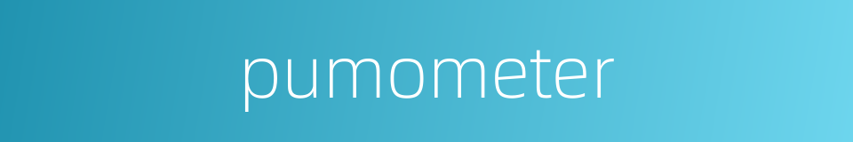 pumometer的同义词