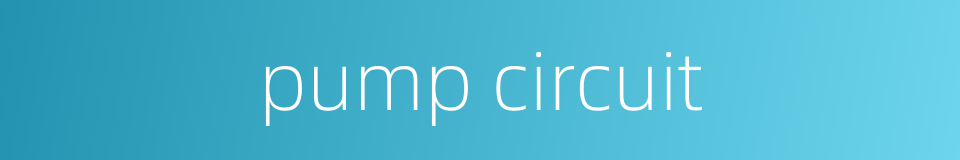 pump circuit的同义词