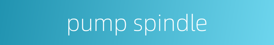 pump spindle的同义词