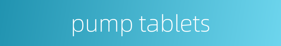 pump tablets的同义词