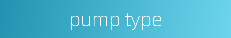 pump type的同义词