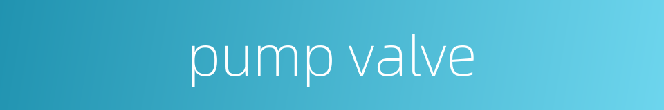 pump valve的同义词