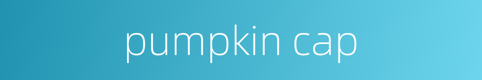 pumpkin cap的同义词