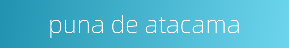 puna de atacama的同义词