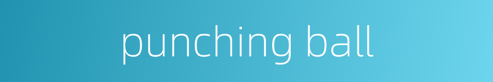 punching ball的同义词