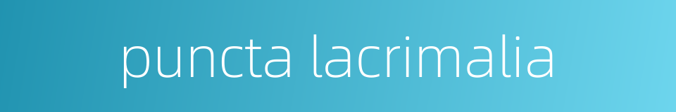 puncta lacrimalia的同义词