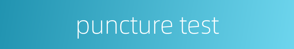 puncture test的同义词