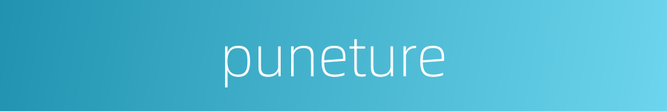 puneture的同义词