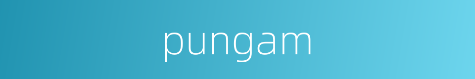 pungam的同义词