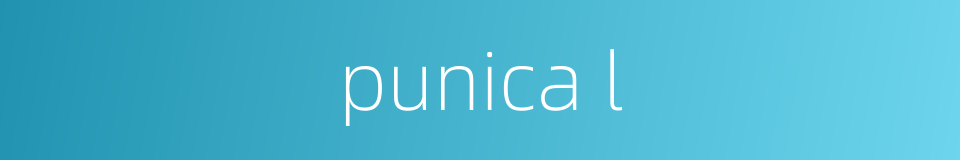 punica l的同义词