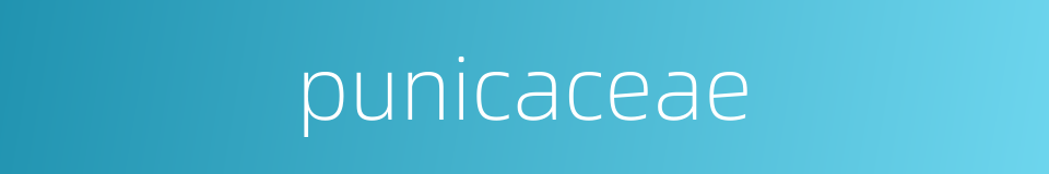 punicaceae的同义词