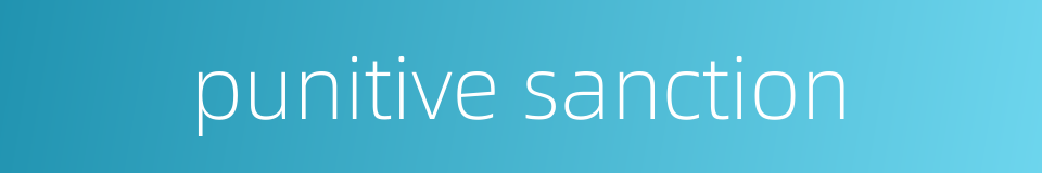 punitive sanction的同义词